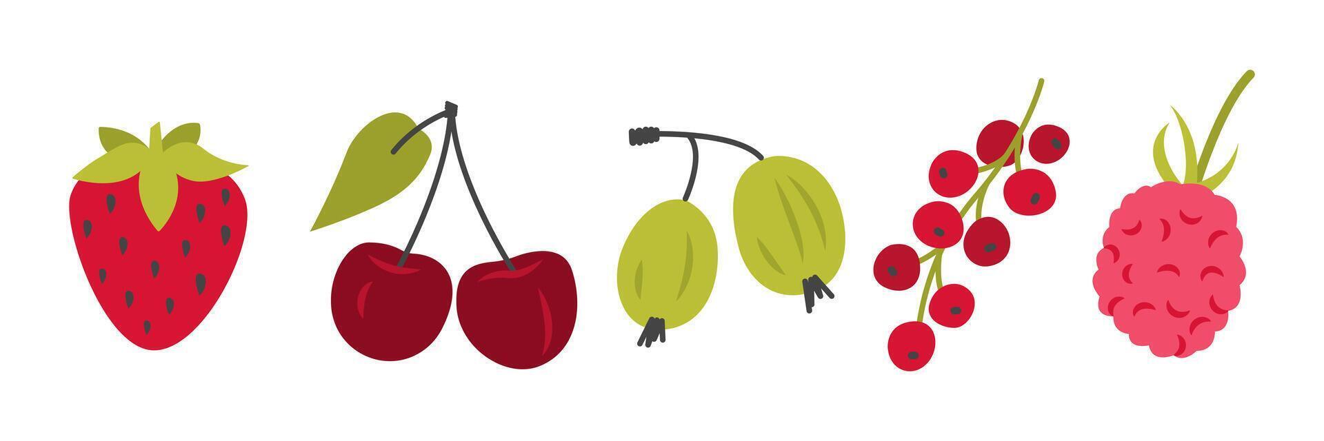 Garden berries set. Cartoon cherry, strawberry, raspberry, currant and goosebrry illustration. Organic items foods. Ingredients for fresh juice. isolated on white vector