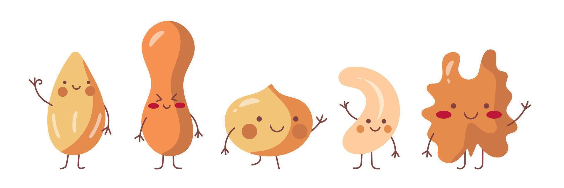 Cartoon smiling nuts. Funny characters. Organic healthy products for snack vector