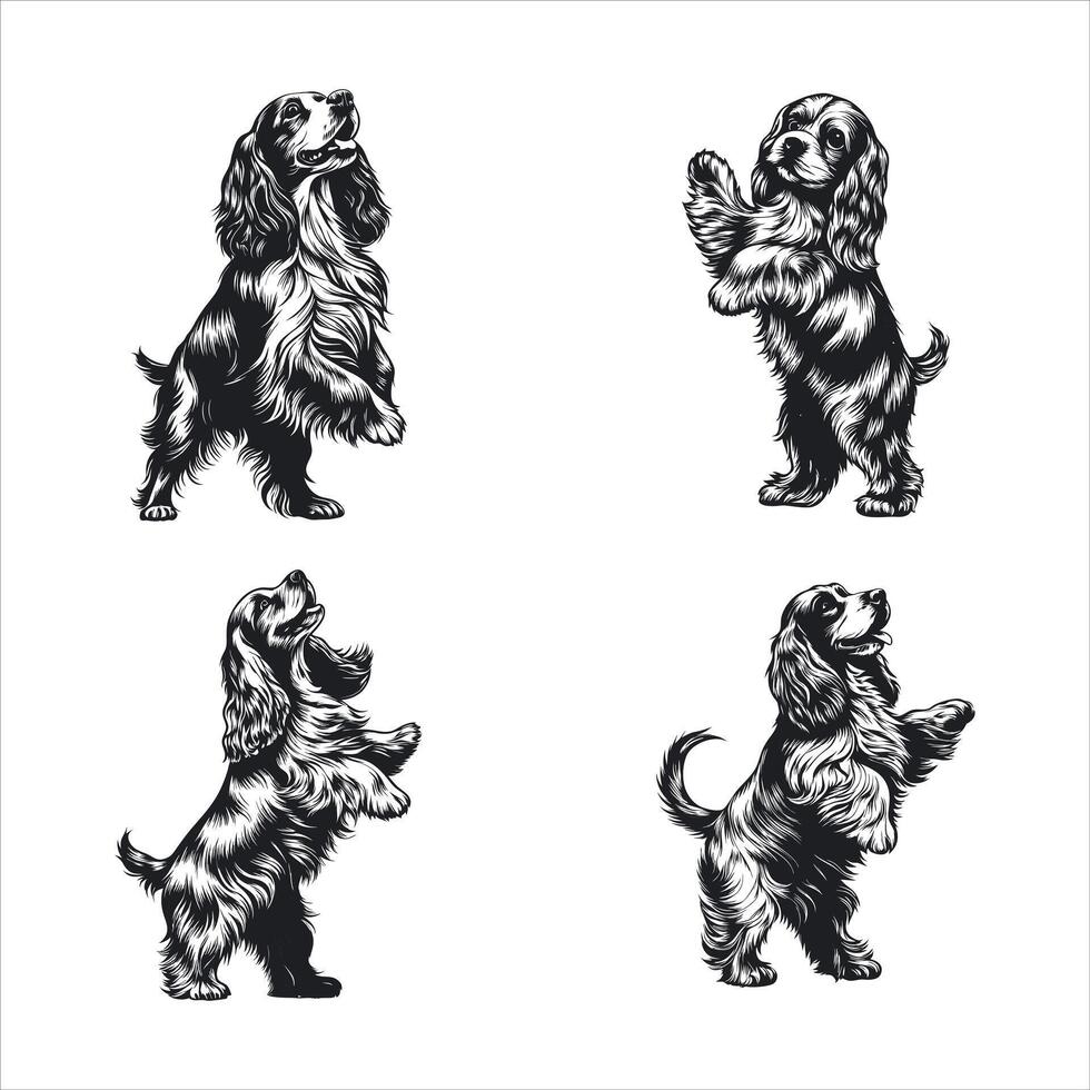 English Cocker Spaniel Forever Your Best Friend vector