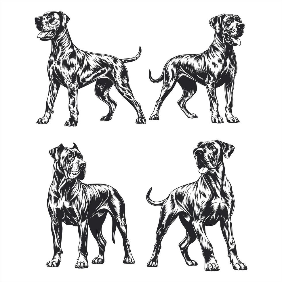 Sweet and Sassy Maltese Vibes vector