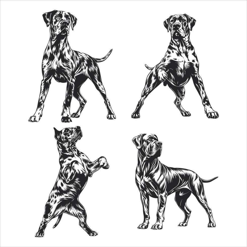 Maltese Puppy Cuteness Overload vector