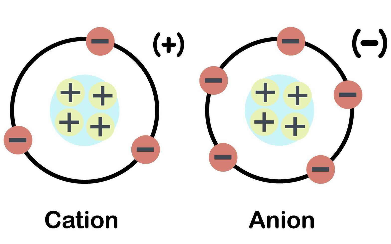 Cation and anion illustration. Positive an negative charge ion vector