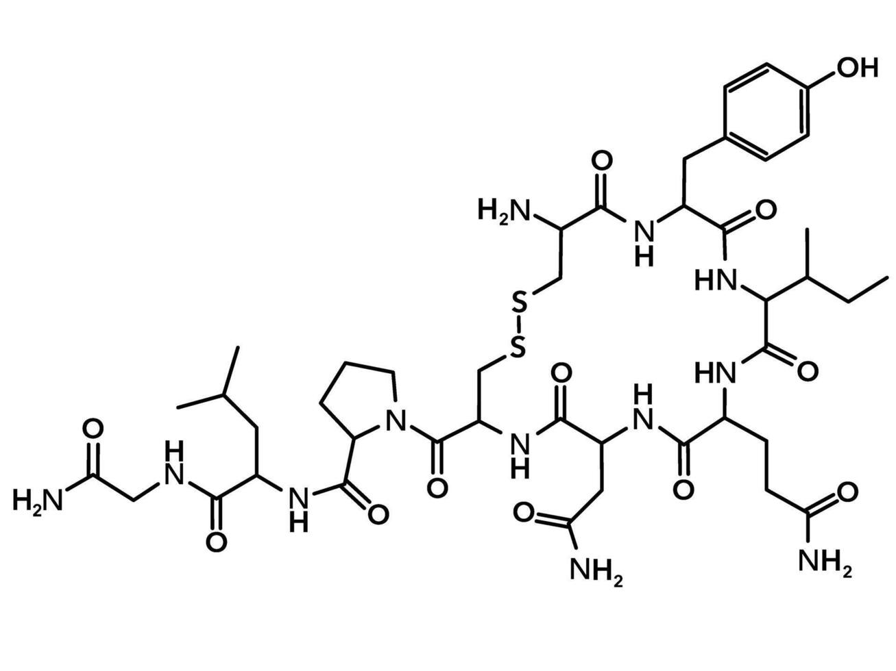 Chemical structure of hormone oxytocin vector