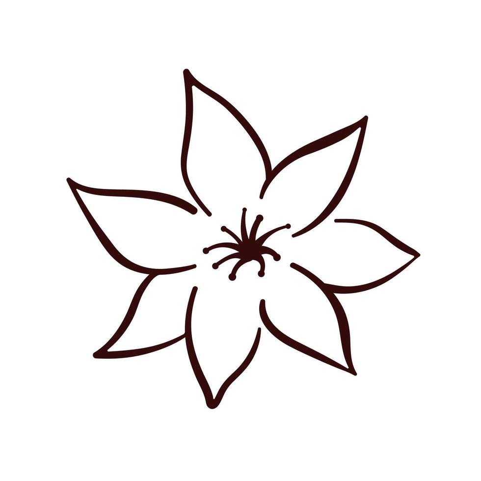 Lemon Flower in line art style. Citrus floral design for spring illustration. Isolated on a white background. vector