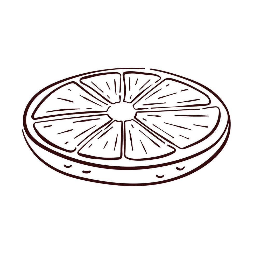 Lemon round slice in line art style. Tropical citrus hand drawn fruit piece with design for menu, logo, package, fruit and grocery store. Isolated on a white background. vector