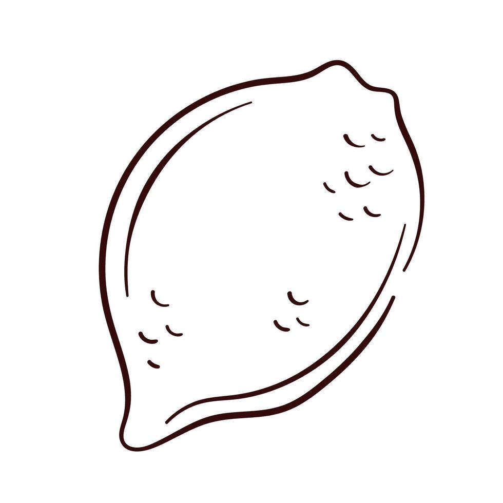 Whole lemon with textured peel in line art style. Hand drawn illustration for botanical design, food packaging and citrus themed project. Isolated on a white background. vector