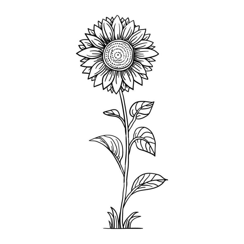 a black and white of a sunflower vector