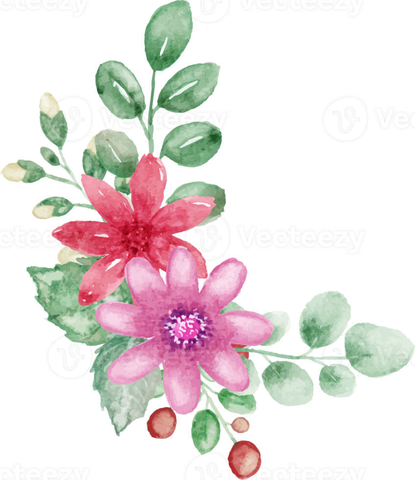 watercolor flowers and leaves on transparent background png