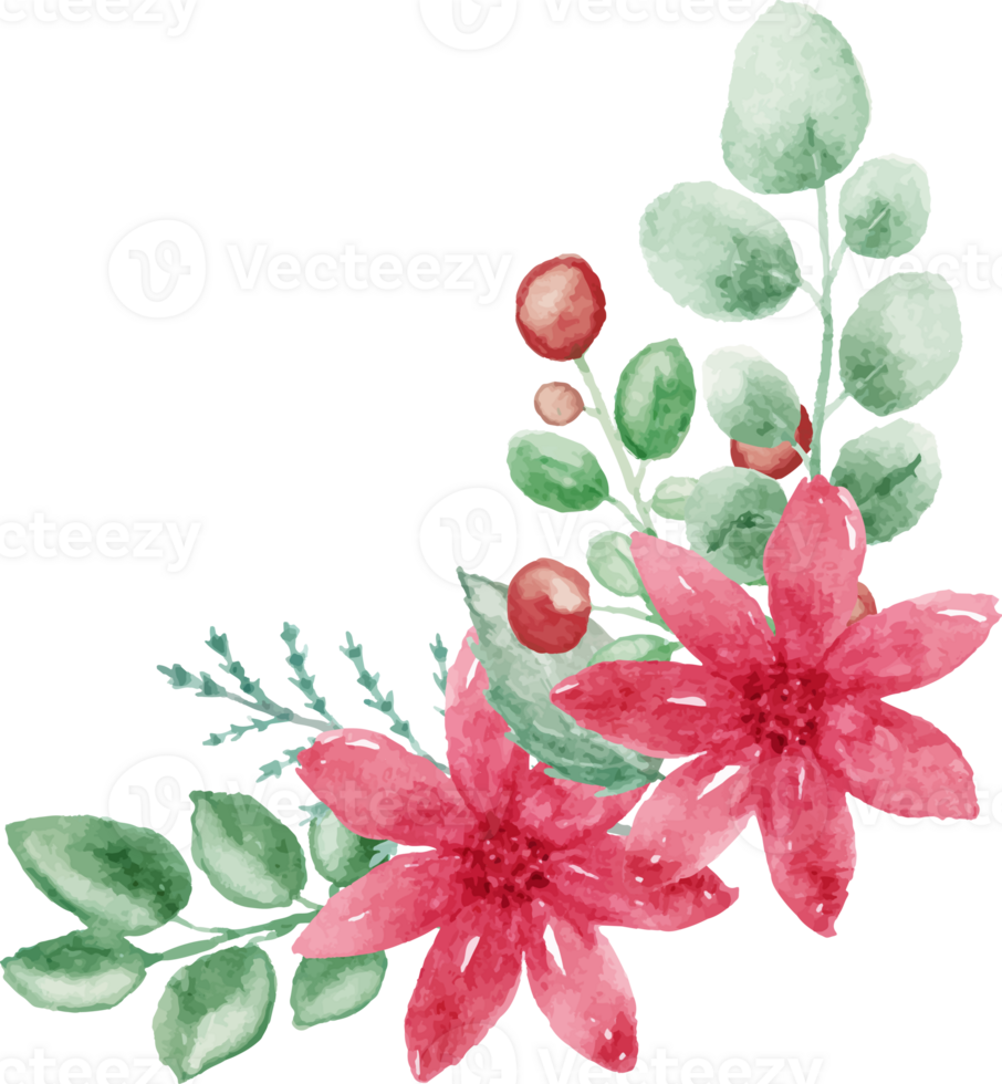 watercolor christmas flowers and leaves on transparent background png