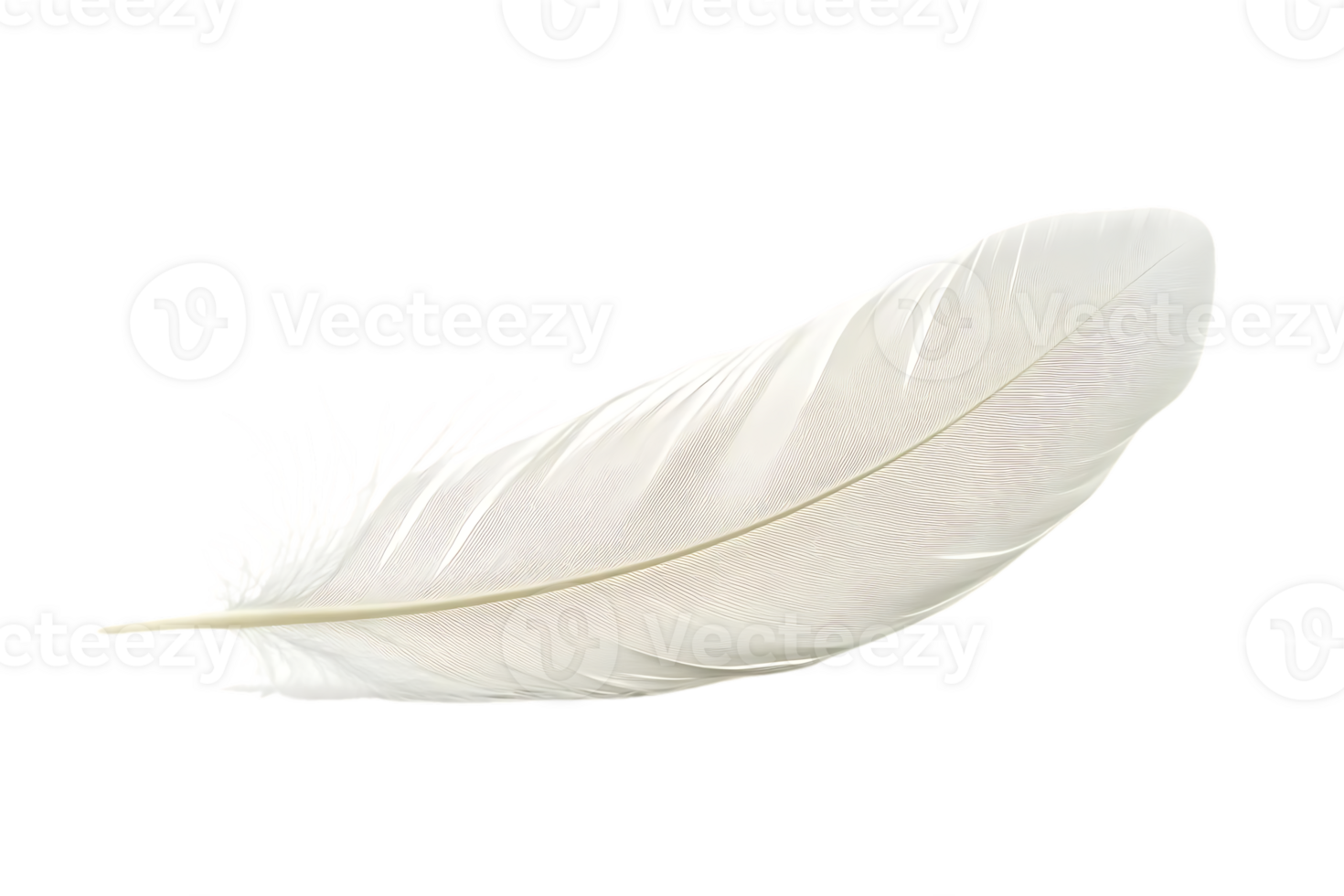 White Feather floats on Black Background, Design Element, Graphic Resource, Perfect for Projects png