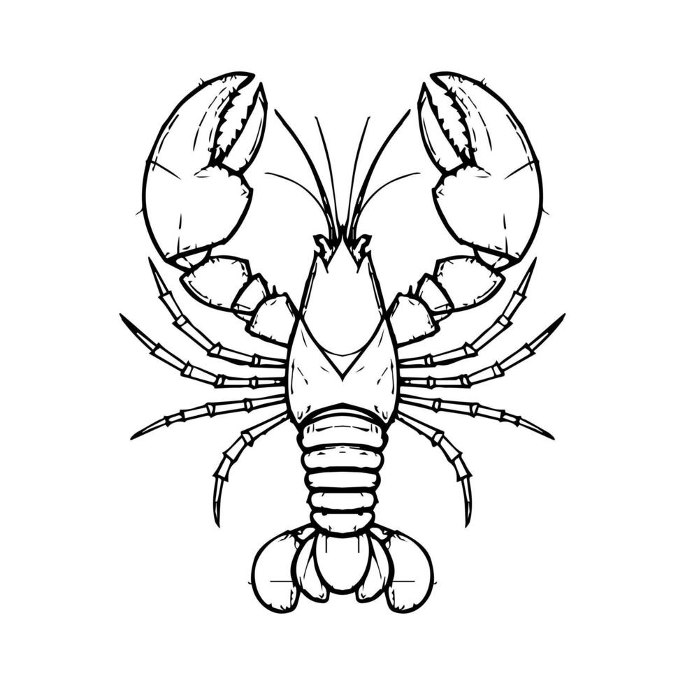 Black and White Lobster Line Art Illustration vector