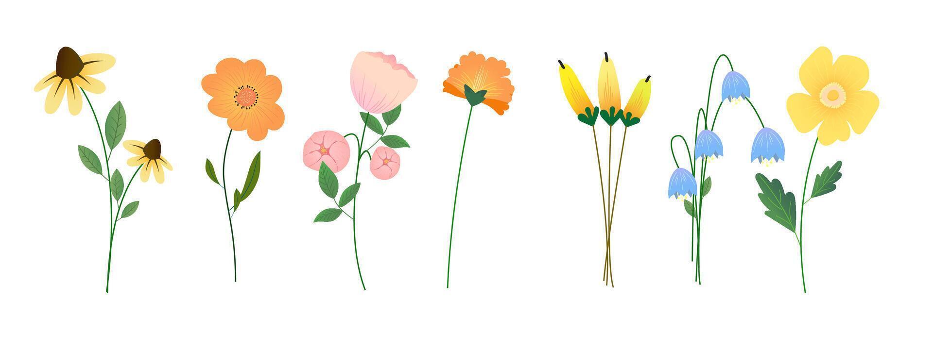 Collection of spring colorful flower elements . Set floral of wildflower, leaf branch, foliage on white background. Hand drawn blossom illustration for decor, easter, sticker, clipart, print. vector