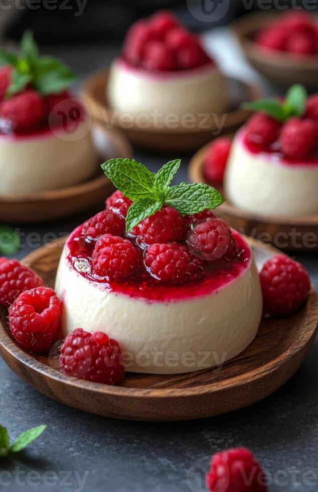 Panna Cotta with Creamy Top and Vibrant Raspberry Sauce on the Side photo