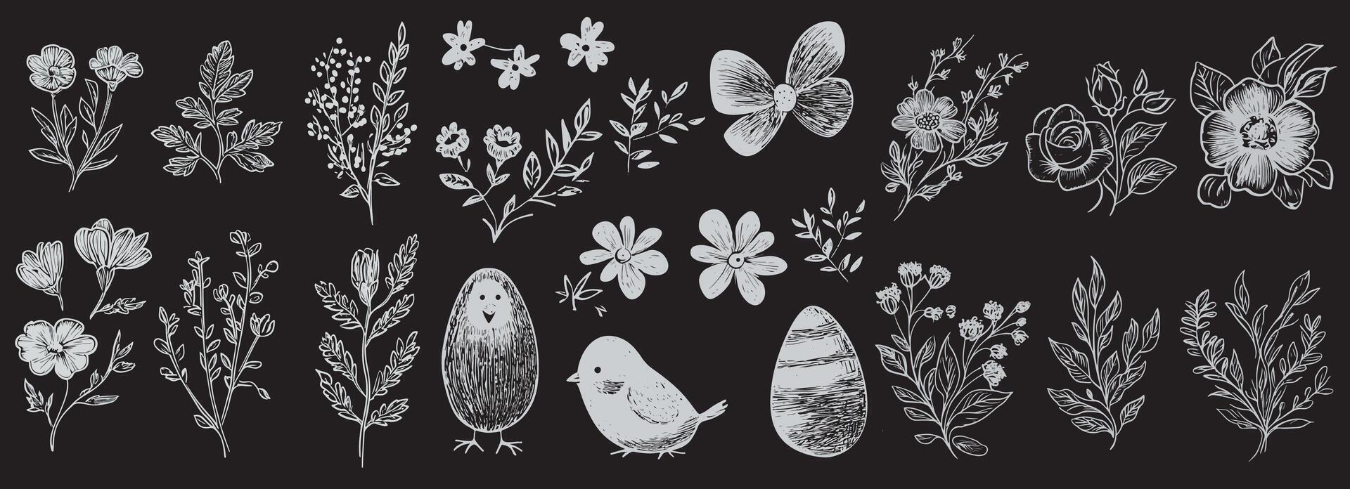 A collection of hand drawn flowers and birds vector