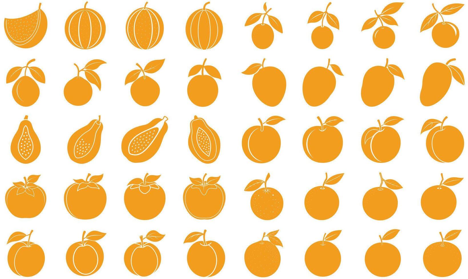 Orange Fruits Bundle - Juicy and Fresh Collection vector