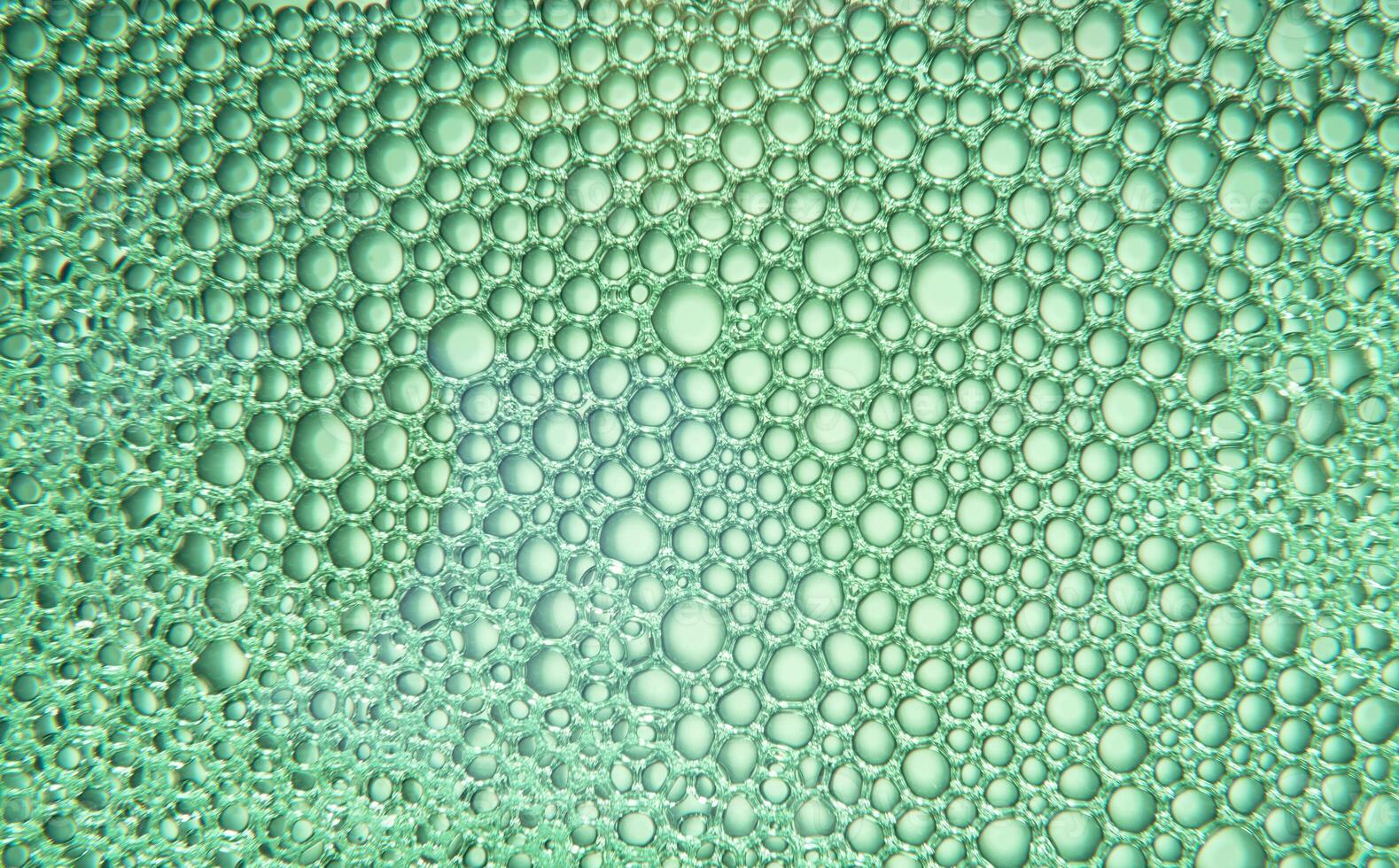 Texture of soap bubbles and water with green light photo