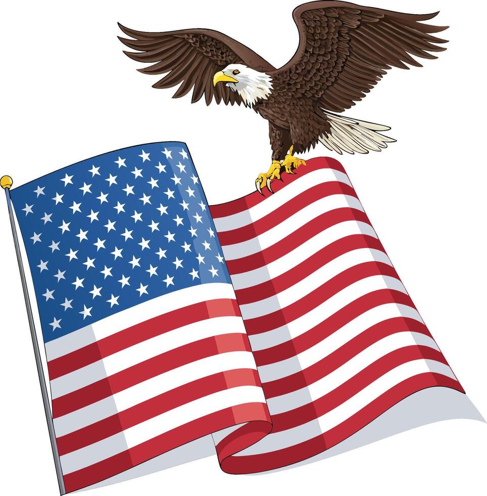 Eagle face flag color design vector