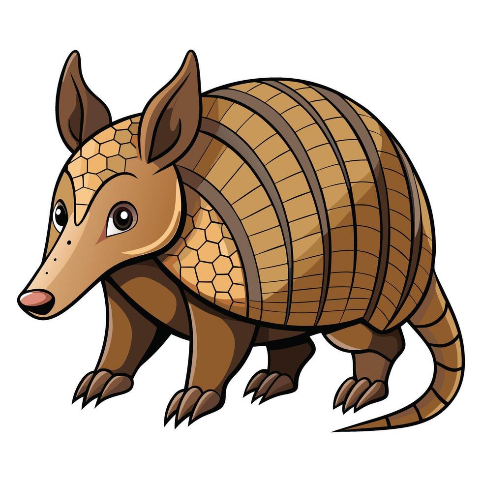 Curled Armadillo in Defensive Position Available on EPS File vector