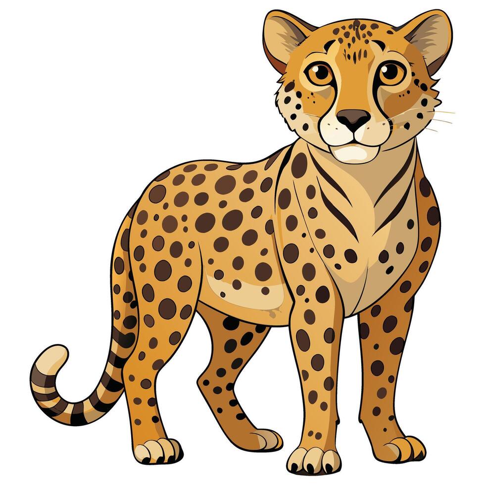 Graceful Cheetah Illustration Available on EPS File vector