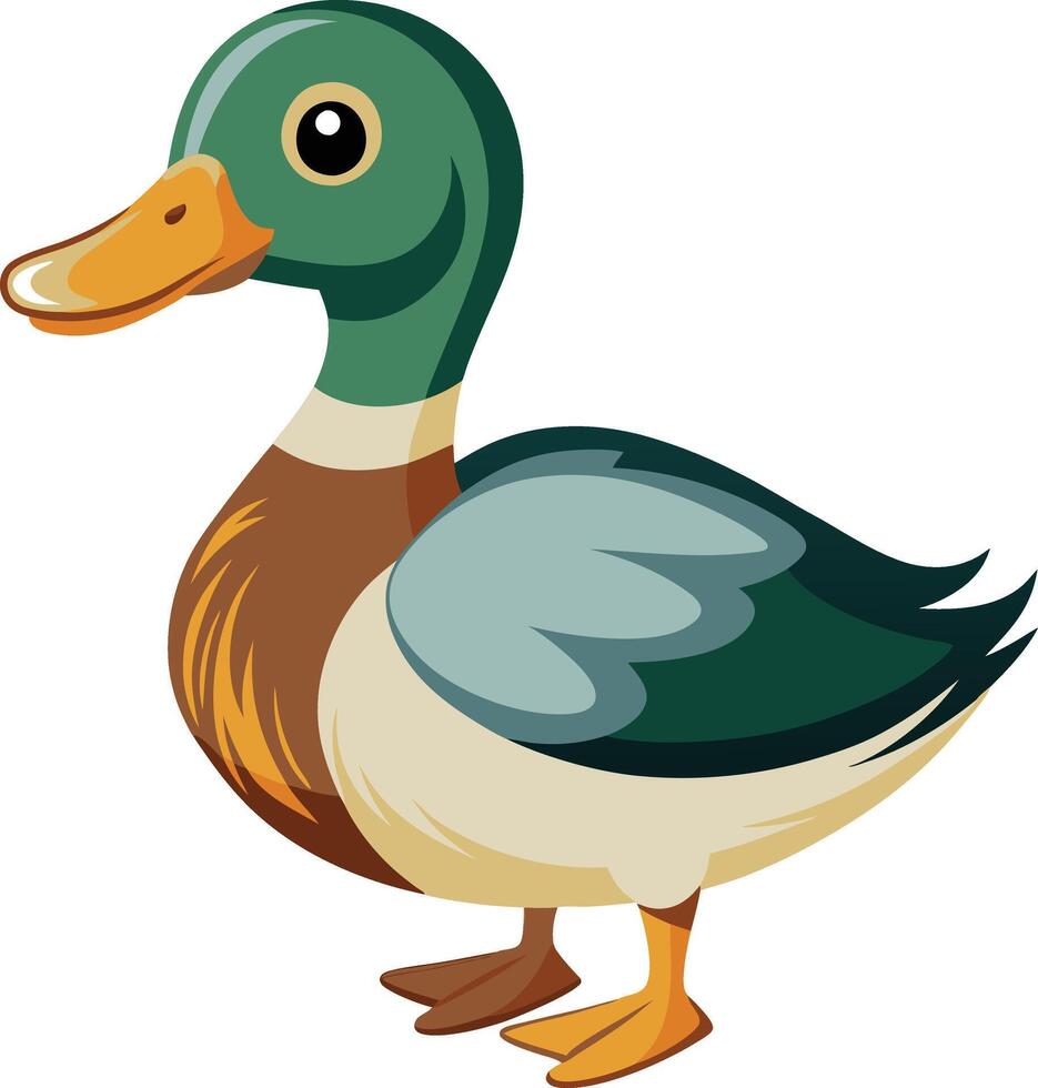 Charming Duck Illustration Available on EPS File vector