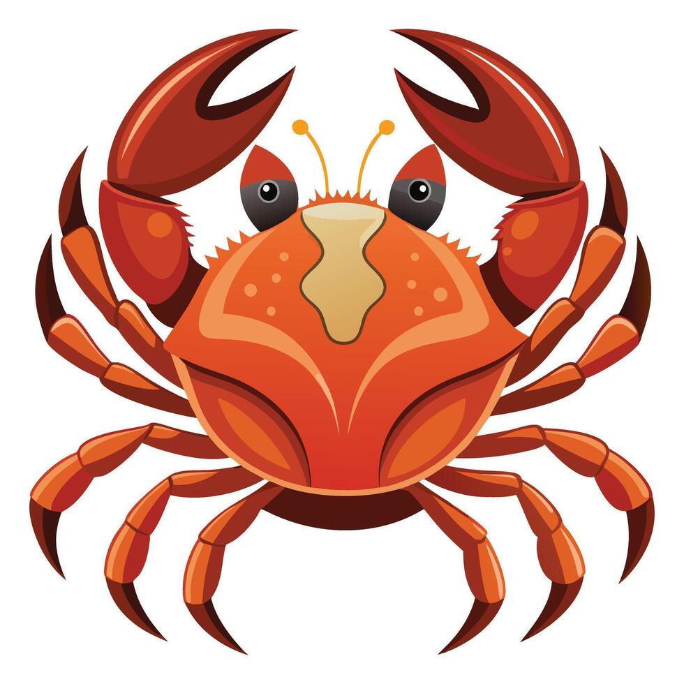 Realistic Crab Illustration with Textured Shell Available on EPS File vector