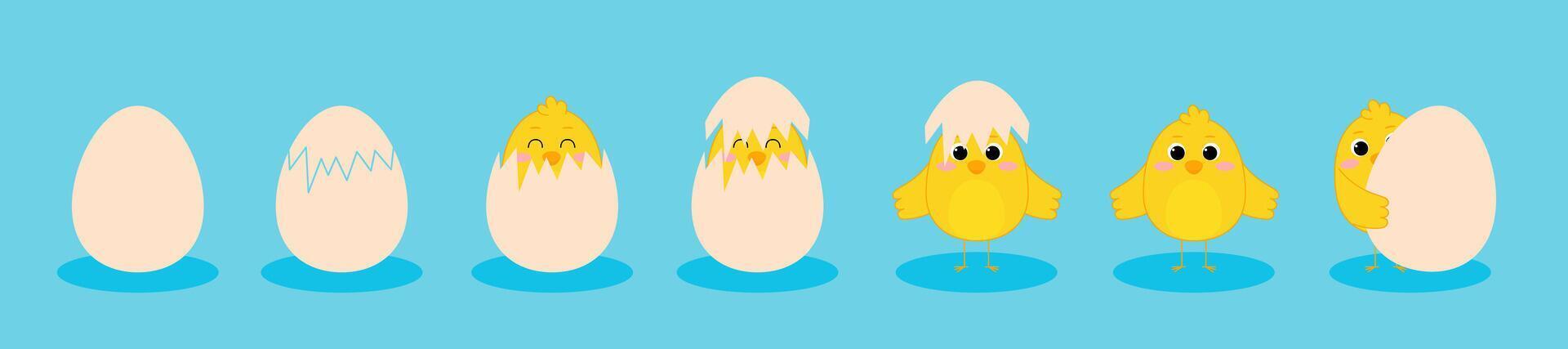 Step by step process baby chicken hatching from the egg. Funny and educational illustration for kids. illustration vector