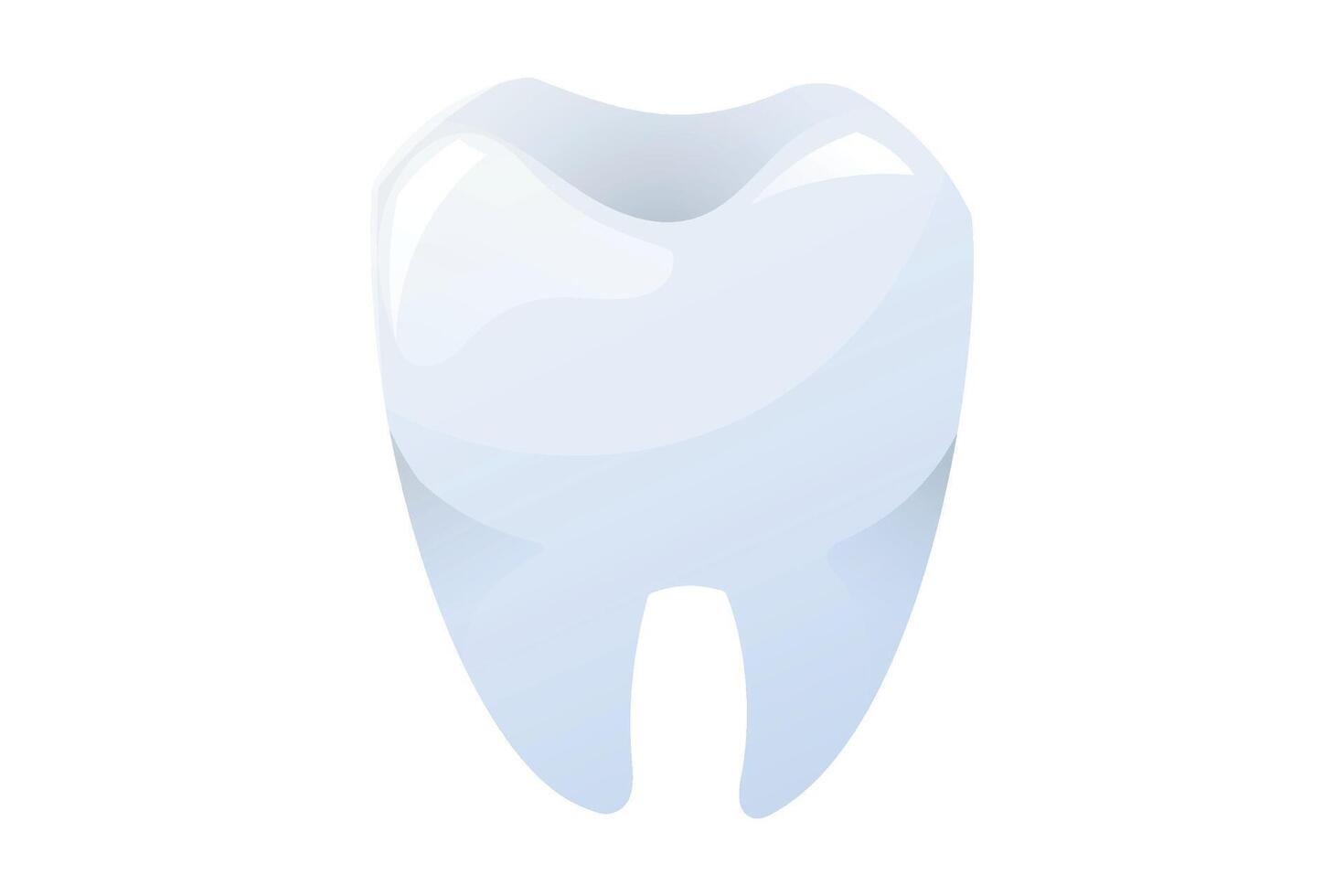 cartoon Shiny white tooth isolated on a white background. Clean and healthy molar illustration for dental care, oral hygiene, and stomatology concepts. vector