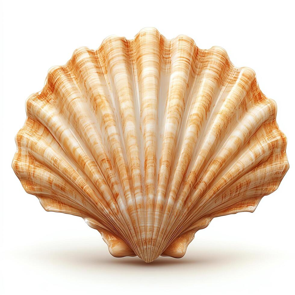 Beautiful scallop shell showcasing intricate natural patterns. photo