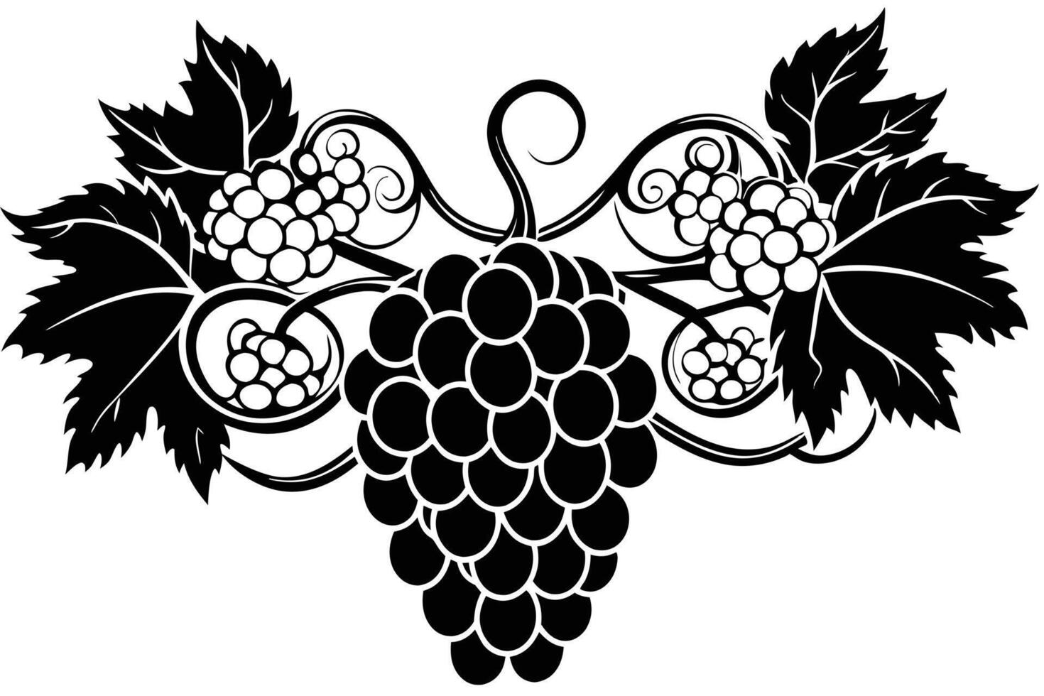 Black and white grapes and leaves design vector