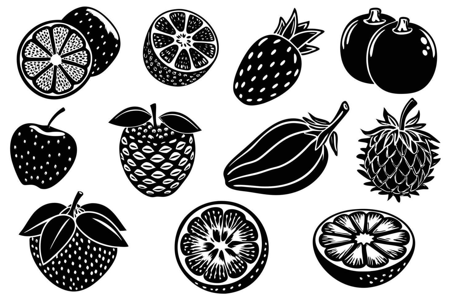 Black and White Vintage Fruit Illustrations vector