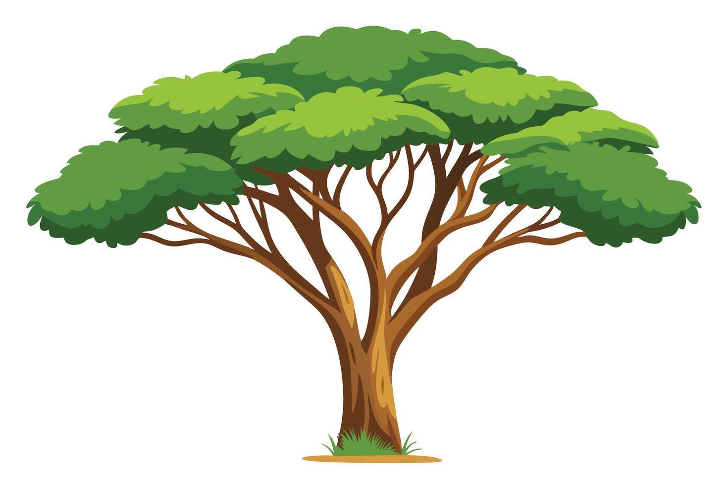 A Big tree. vector