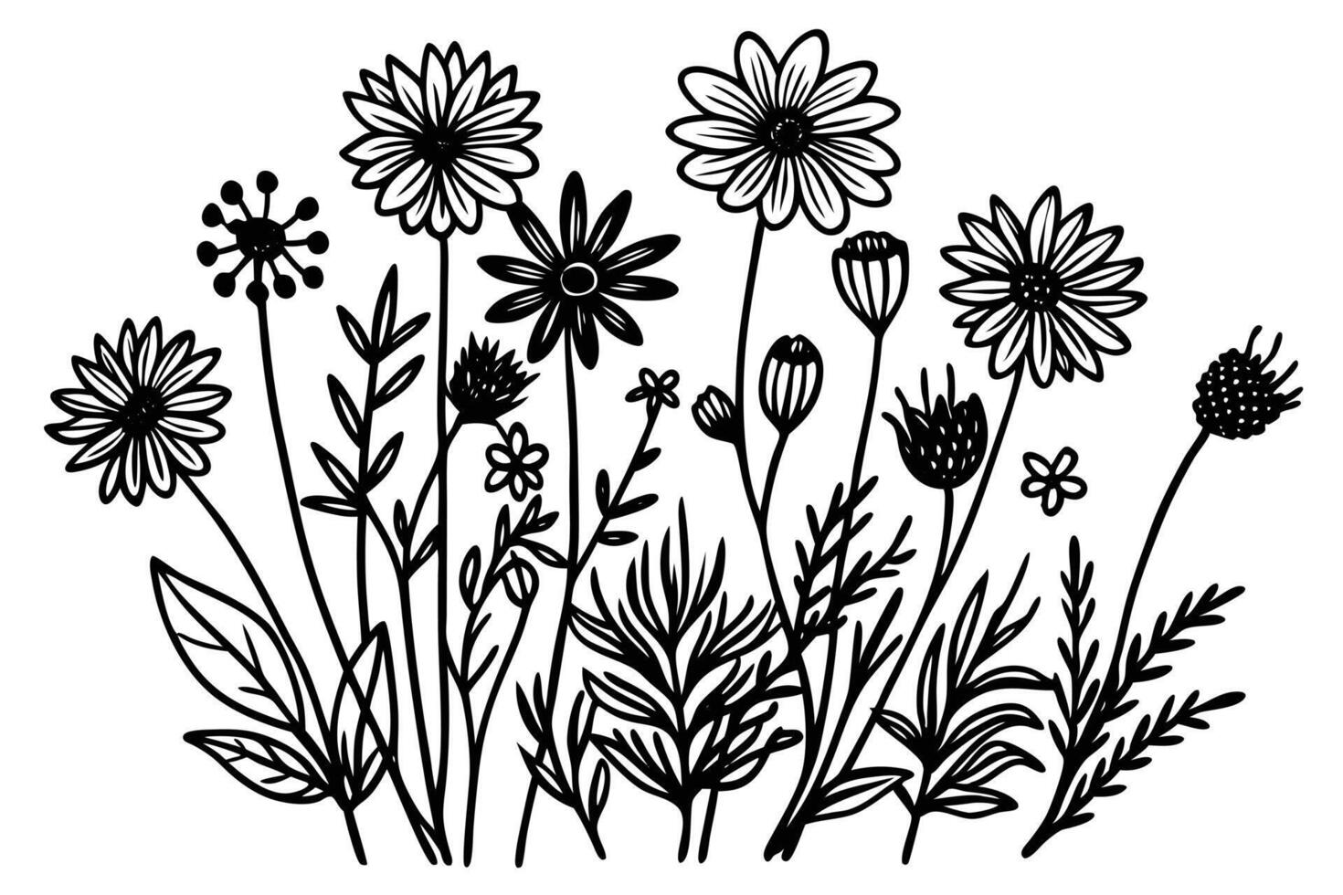 Elegant black and white floral design of various wildflowers vector