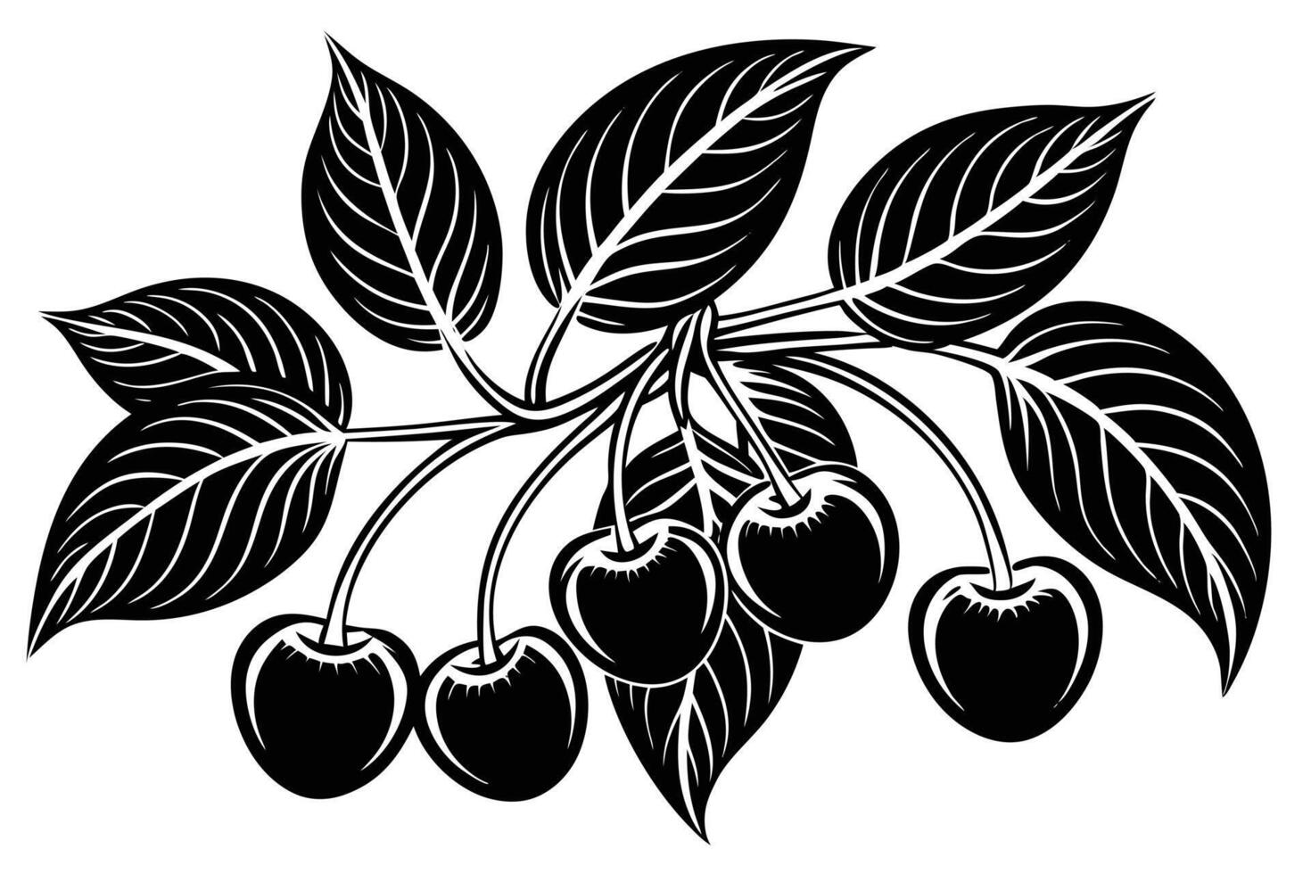 Black and White Illustration of Cherries and Leaves vector