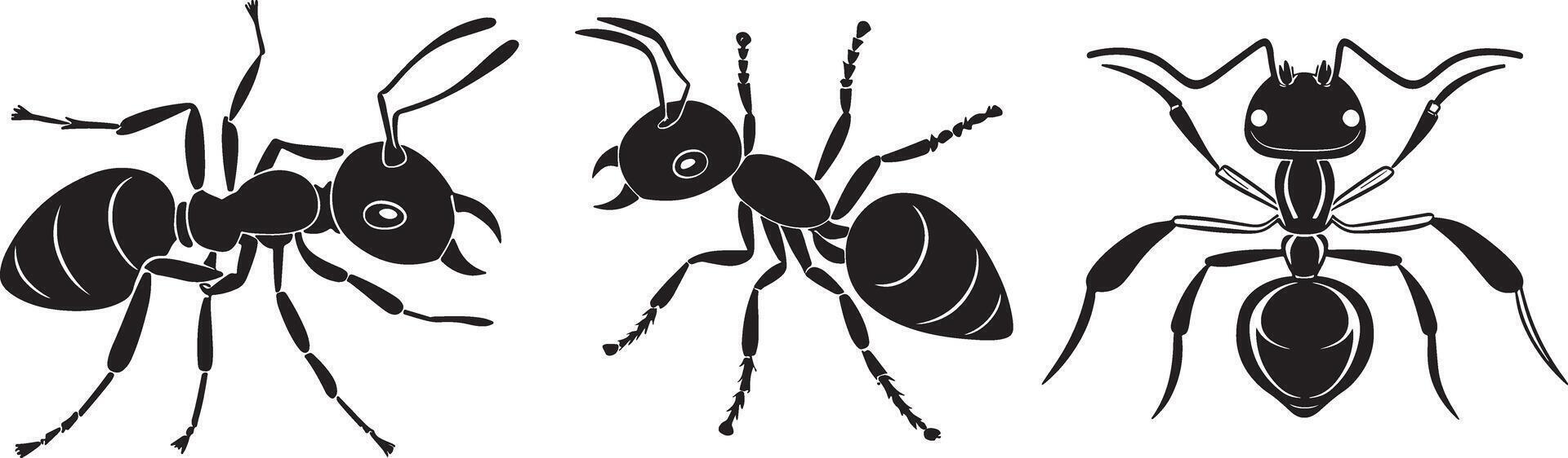 ant silhouettes on the white background vector