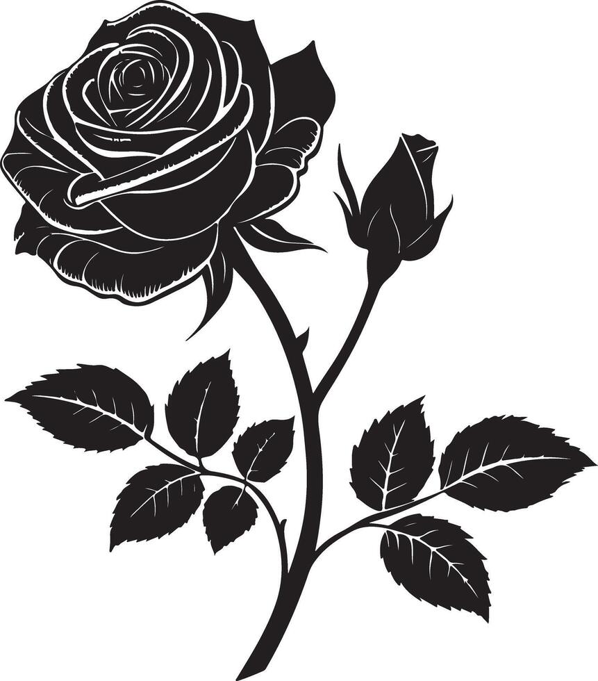 Rose flower icon of silhouette style with white background vector