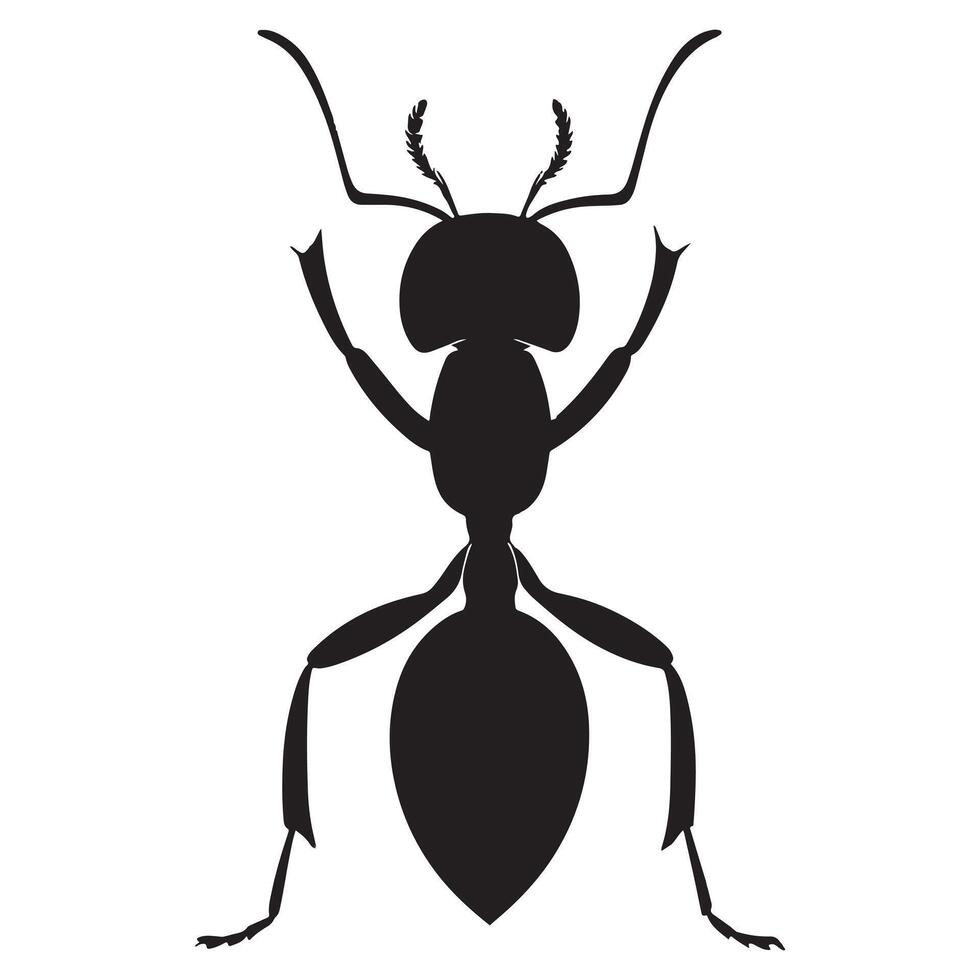 Ant Icon Design. vector