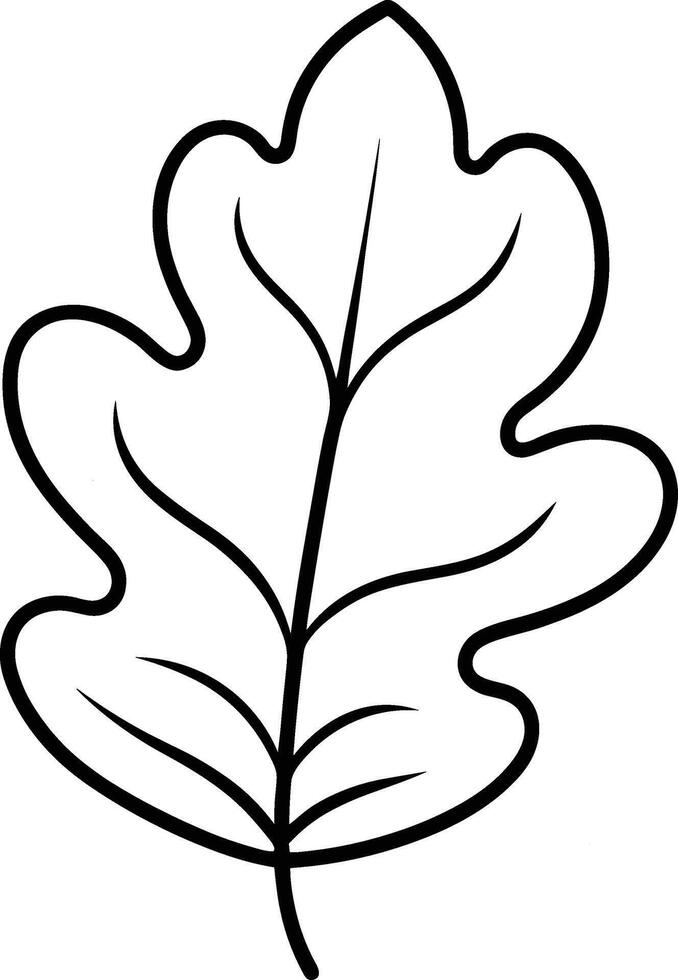 Hand-Drawn Oak Leaf Outline - Minimalist Illustration vector