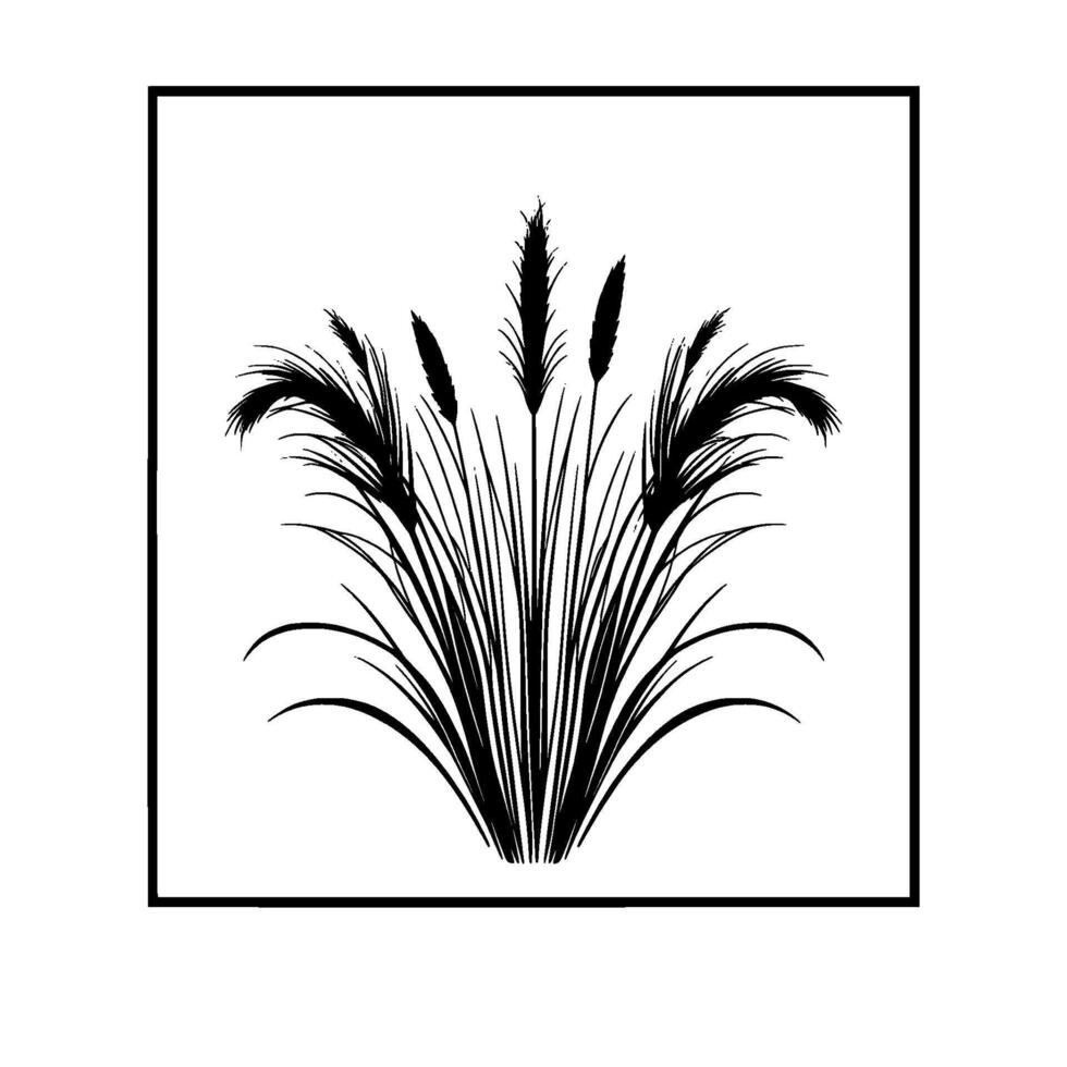 Black Silhouette of Ornamental Grass in a Square Frame Botanical for Minimalism and Decorative Appeal. vector