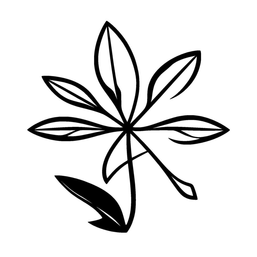 A stark, minimalist illustration of a plants leaf structure in black and white, featuring radiating linear elements and detailed outlines. vector