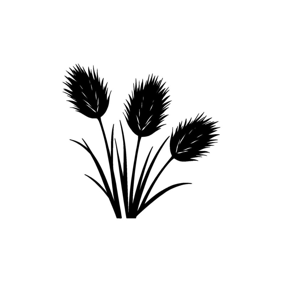 Black Silhouetted Ornamental Grasses with Feathery Seed Heads Against White Background, Minimalist Nature Illustration. vector