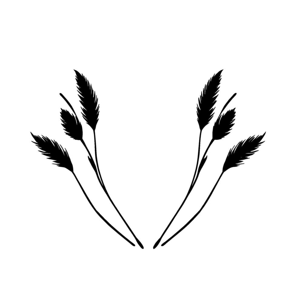 Minimalist black and white botanical illustration featuring symmetrical featherlike plants within a geometric frame, elegant and refined. vector