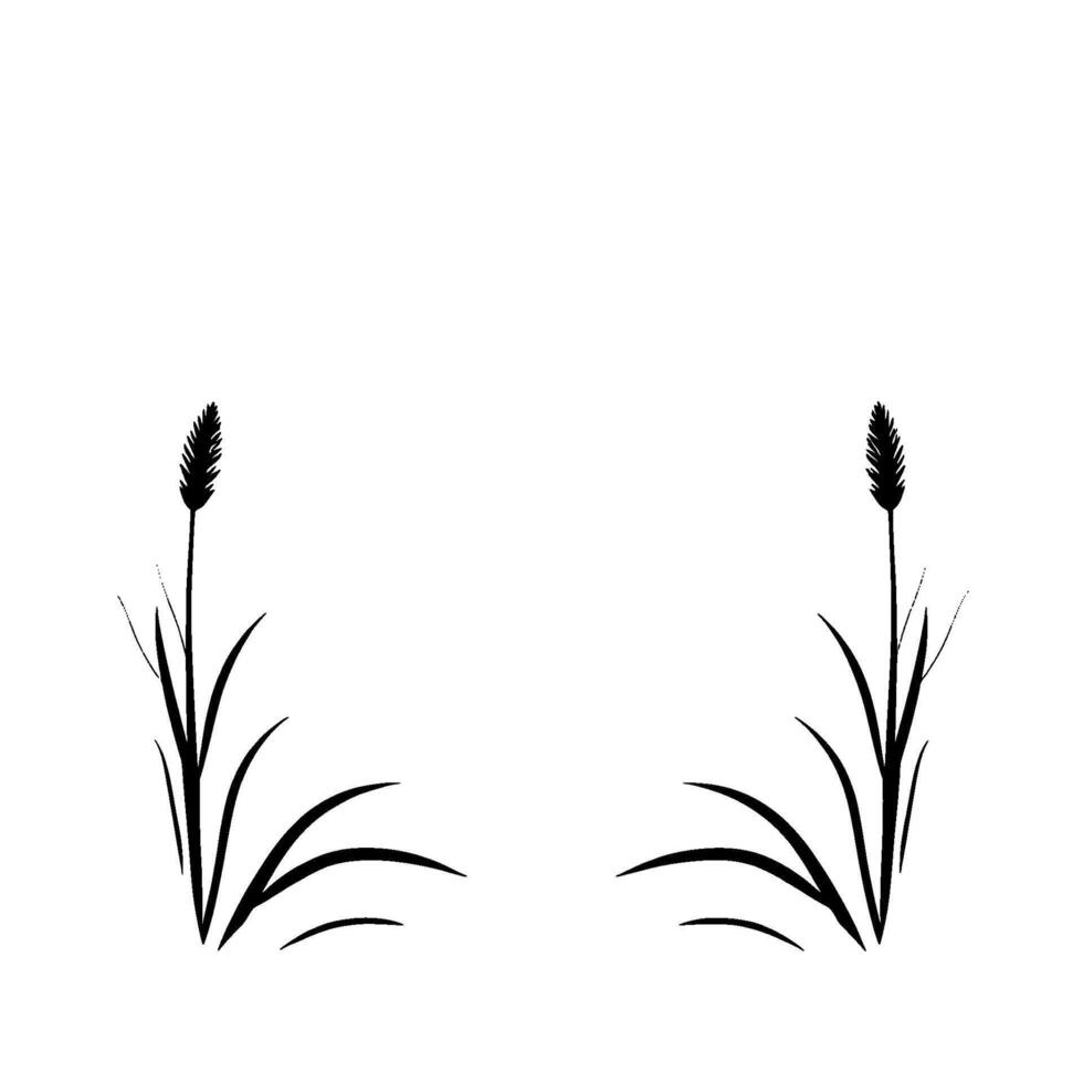 Minimalist Black Silhouettes of Two Tall Grasses or Wheat Stalks, Symmetrically Arranged Against a Pure White Backdrop. vector