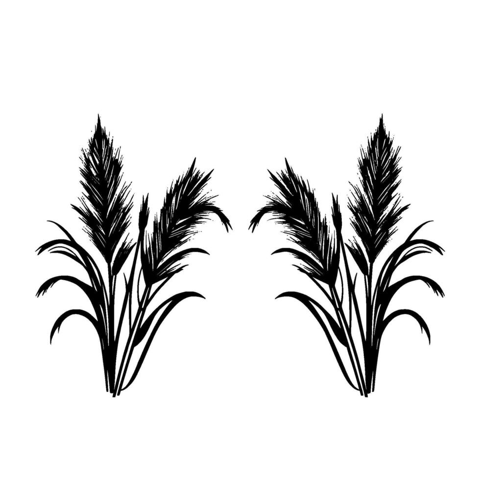 Symmetrical black ink illustration of two stylized ornamental grasses with feathery plumes and curved leaves on a white background. vector