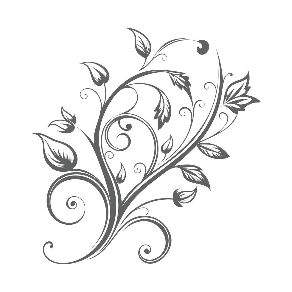 Flourishes Black White Floral vector