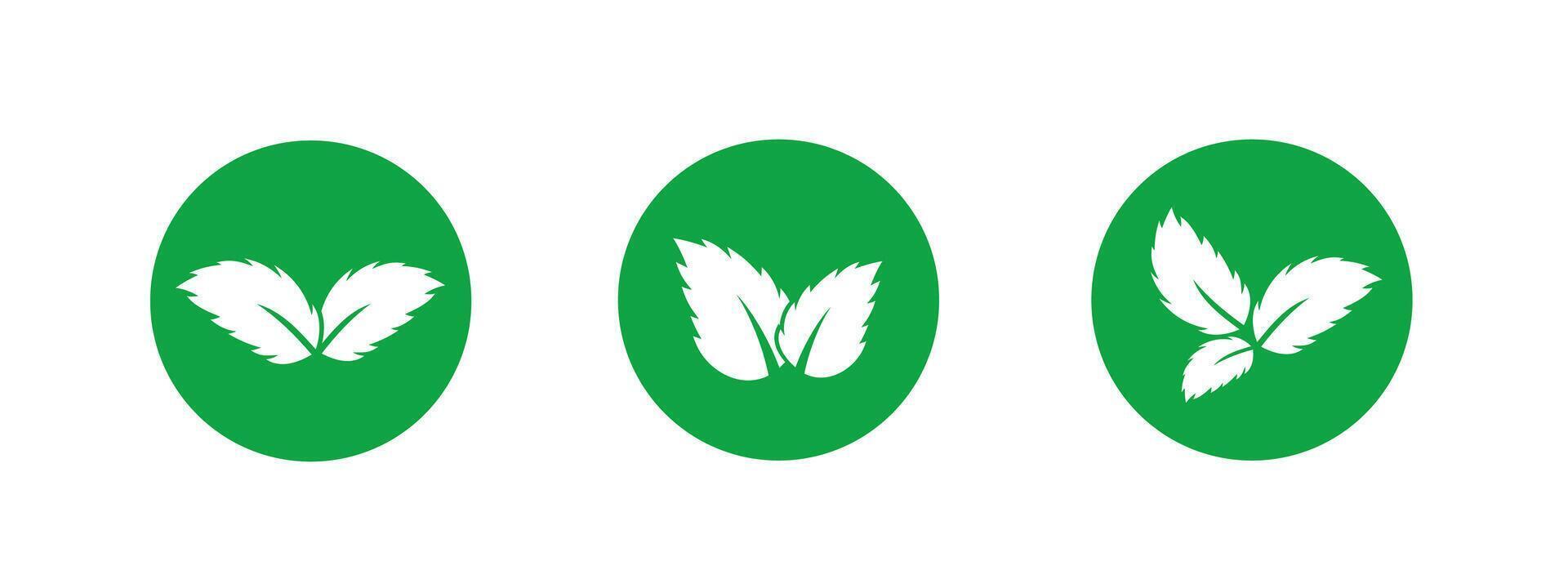 Green leaf icon with simple lines for eco-friendly and sustainable designs. vector