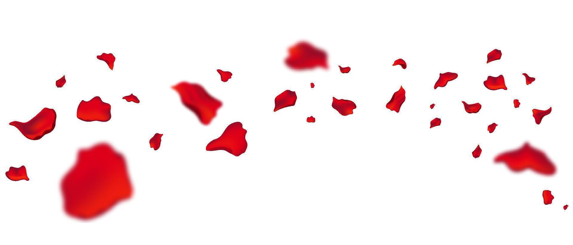 Flying rose petals for romantic and sensual designs. vector