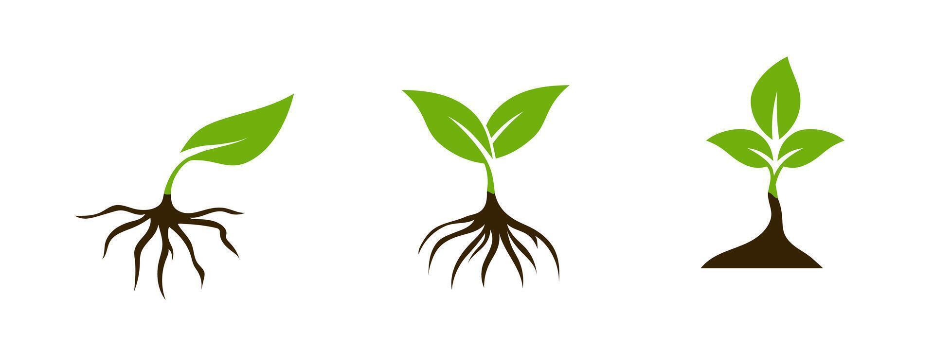 Green leaf and root icon for eco-friendly and organic designs. vector