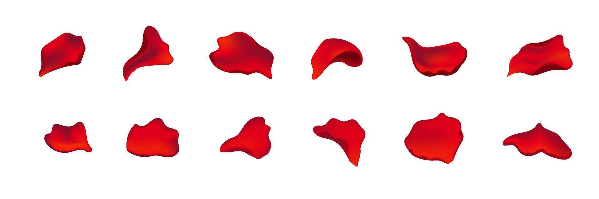 Scattered red rose petals set for love and holiday themes. vector