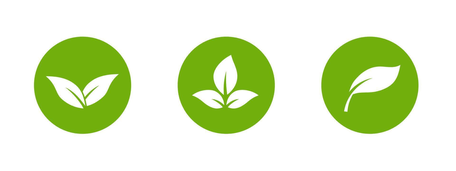 Green leaf icon with clean lines for eco and sustainable products. vector
