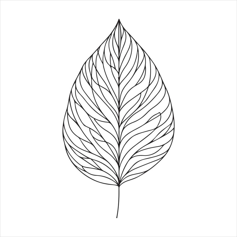 single one line Leaf silhouette vector